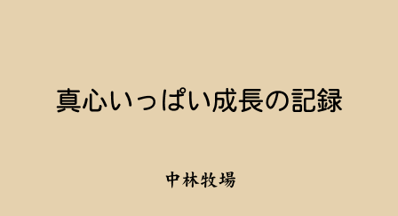 �^�S�����ς������̋L�^